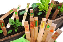 Premium Garden Markers