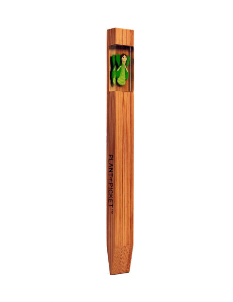 Illumination Earth Turtle Fairy Marker