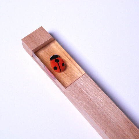 Ladybug - Image 3