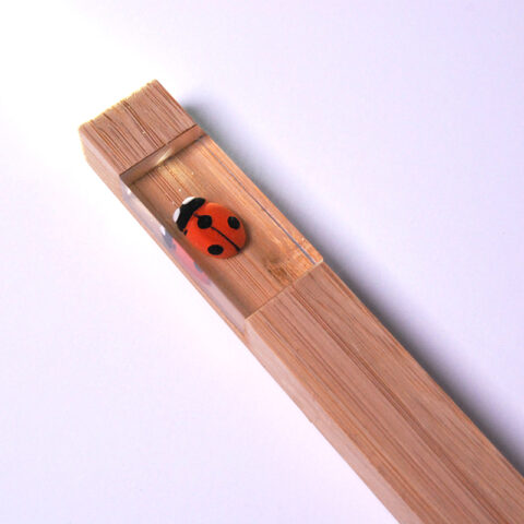 Ladybug - Image 2