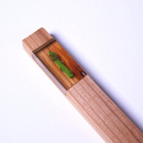 Asparagus - Image 2